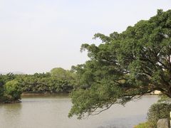 -江心屿景区