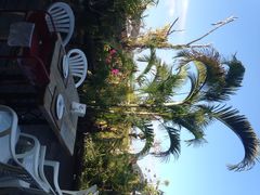 Natural&nbsp;Restaurant-自然餐厅(Phuket)