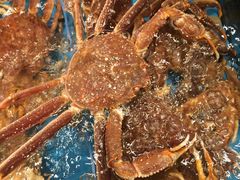 -海景壹号大酒店(惠钱路店)