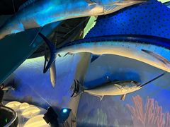 -陕西自然博物馆