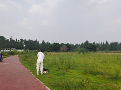 -蜀绣公园