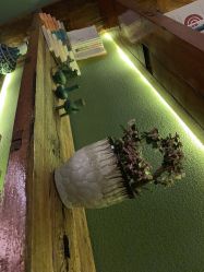 -琦品高端美容SPA会所