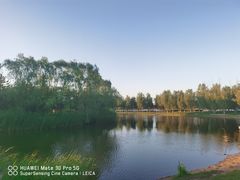 -大兴滨河森林公园