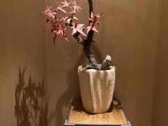 -上海浦东机场海上铂悦酒店