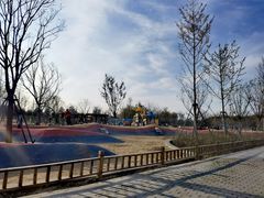 -东郊湿地公园