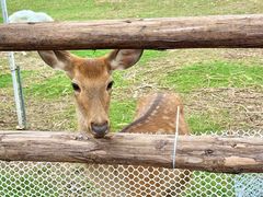-杭州湾海上花田景区