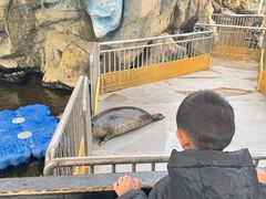 -华夏文旅海洋公园