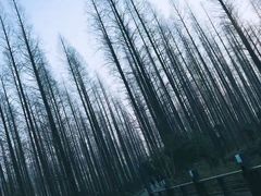 -上海怡沁园度假酒店