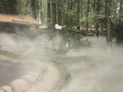 -林间山庄
