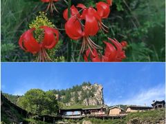 -芦芽山旅游度假区
