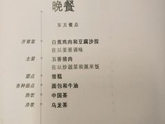 -新加坡航空公司(ION)