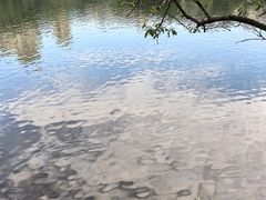 -重庆彩云湖湿地公园