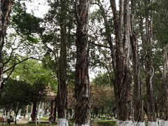 -广东外语外贸大学(白云山校区)