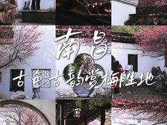 -八大山人梅湖景区