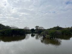 -海上田园