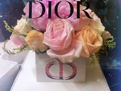 -DIOR迪奥(德基广场女装店)