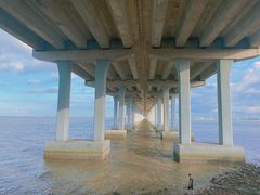 -宝安西湾红树林湿地公园