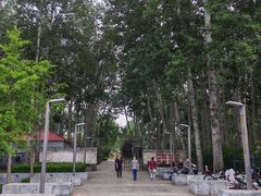 -仁和公园(顺义区)