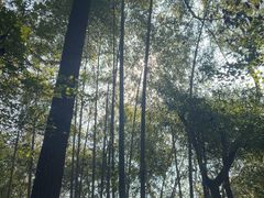 -敬亭山风景名胜区