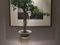 -一澜江宴·江景地标楚菜(江滩公园店)