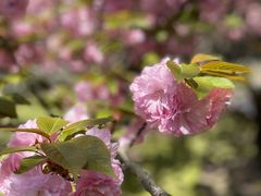 -苏州河梦清园环保主题公园