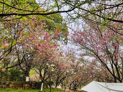 -白马涧龙池景区