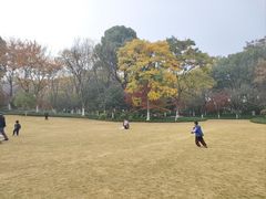 -杭州城北体育公园