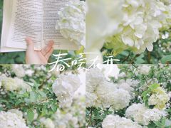 -上海滨江森林公园