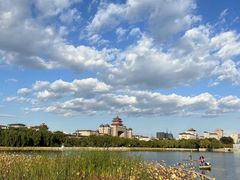 -莲花池公园