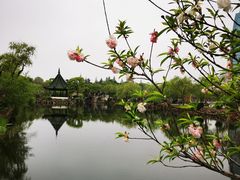 -无锡蠡湖国家湿地公园-蠡园