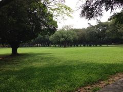 -中山大学学者灵芝(园南路店)