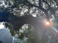 -伴山茶苑·围炉煮茶