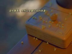 -宋宴(虎跑店)