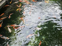 -寒山寺