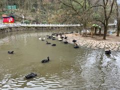 -黔灵山公园