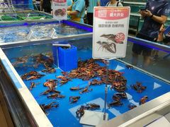 -盒马鲜生(大成店)