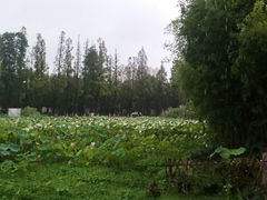 -百翠山居.家飨餐厅