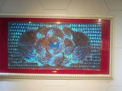 android_upload_pic-上海昆虫博物馆