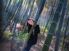 -青龙山国家森林公园