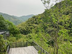 -宁海安岚·南溪阁全日餐厅