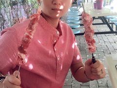 -开心庄园