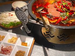 -探鱼·鲜青椒爽麻烤鱼(北京路天河城店)