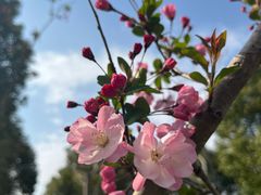 -上海浦江郊野公园-3号停车场
