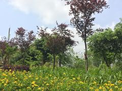-重庆平顶山公园
