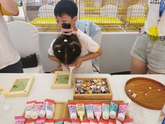 -帕帕拉兹宠物(亚洲旗舰店)