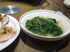 清炒枸杞叶-79号渔船海鲜饭店(华强北店)