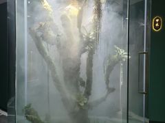 -泰悠谷养生SPA(世茂商业街店)