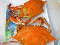 -日照大牌檔•小船海鲜(万平口店)