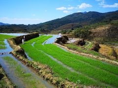 -牙胡梯田