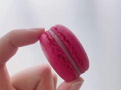 -PAUL LAFAYET 法式甜品(港汇广场店)